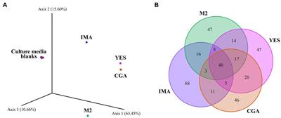 Metabologenomics analysis of Pseudomonas sp. So3.2b, an Antarctic strain with bioactivity against Rhizoctonia solani